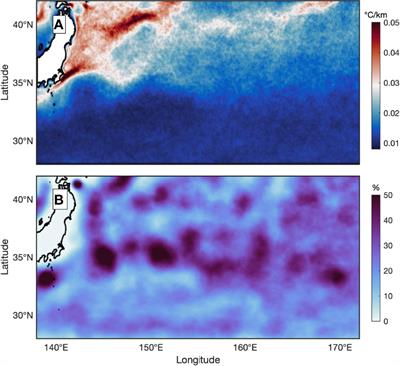 Mesoscale eddies induce variability in the sea surface temperature gradient in the Kuroshio Extension